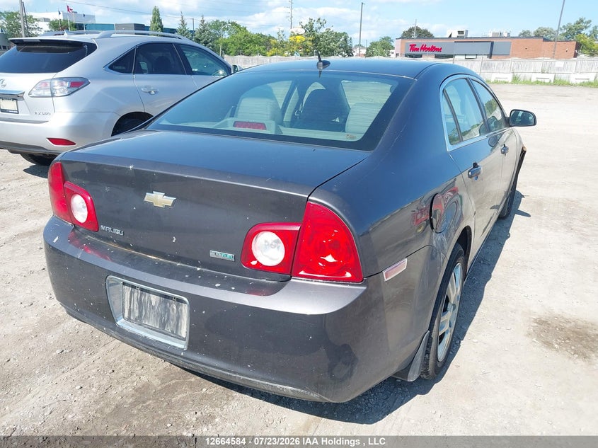 Vin: 1g1zb5e09af207100, lot: 3076643, chevrolet malibu ls 20104