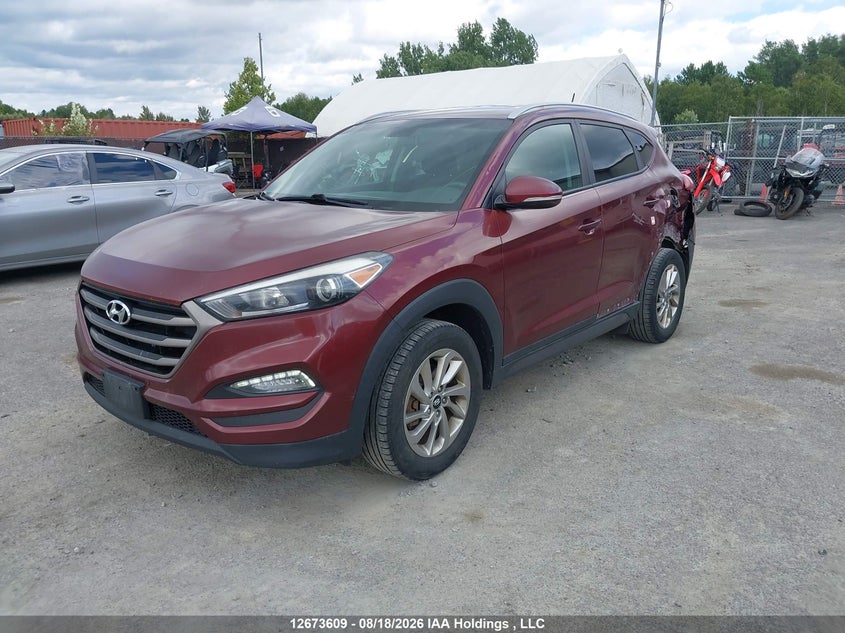 2016 Hyundai Tucson, Rear, IAAI, VIN KM8J3CA44GU195307 — photo 2