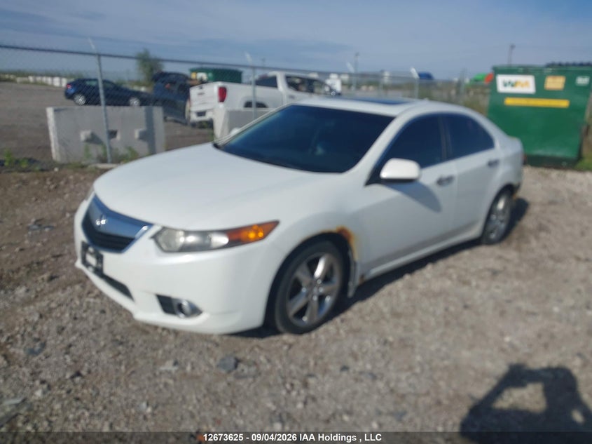 2012 Acura TSX, Удар сзади, IAAI, VIN JH4CU2F59CC801804 — фото 2