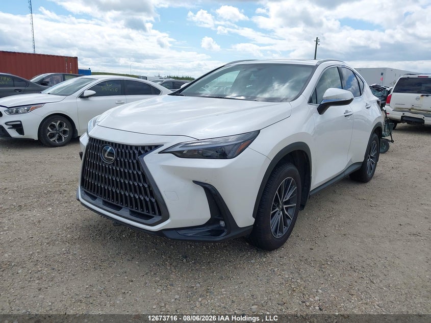 2025 Lexus NX, Затопление, IAAI, VIN 2T2GKCEZ0SC043372 — фото 2