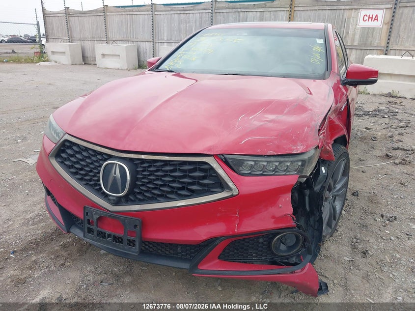 Vin: 19uub3f80ka800659, lot: 3077217, acura tlx advance 20192