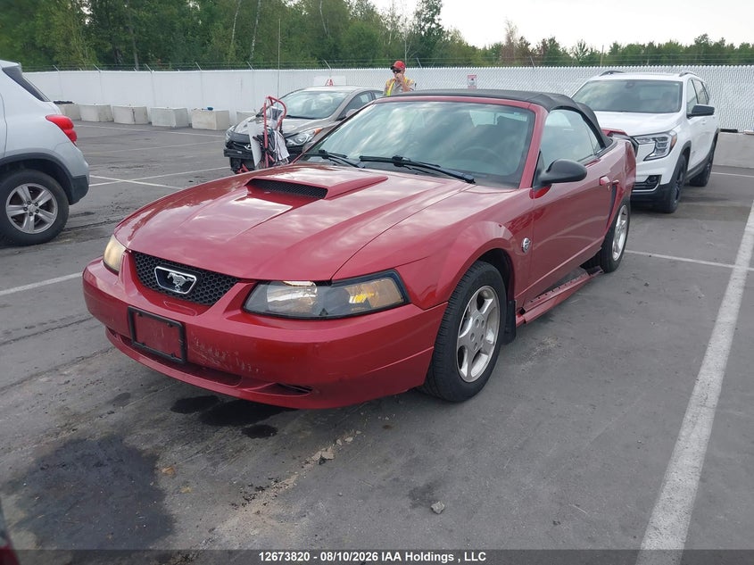 2004 Ford Mustang, Удар сзади, IAAI, VIN 1FAFP44654F207469 — фото 2