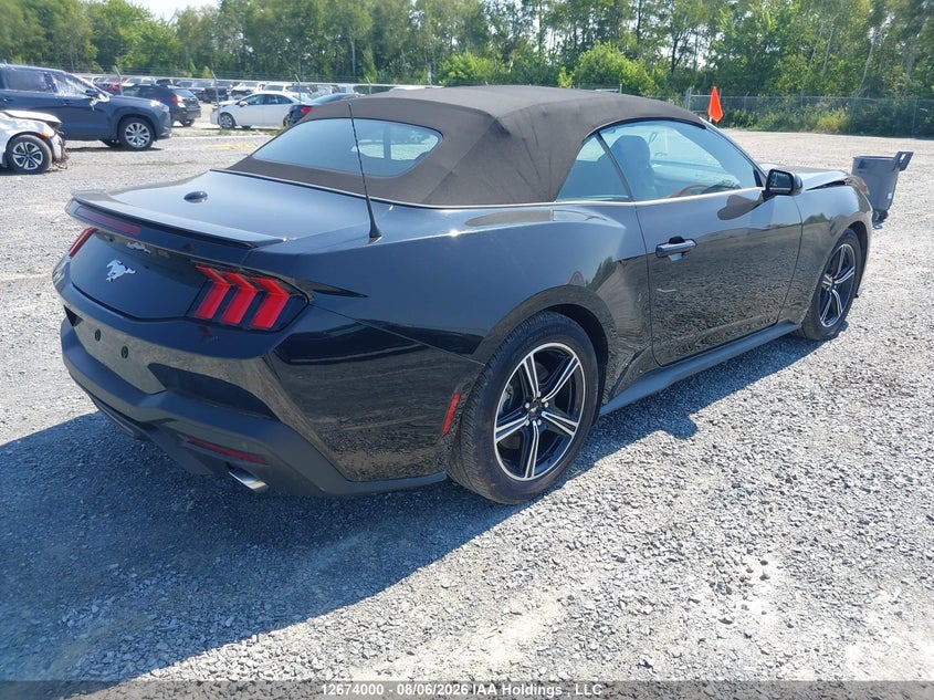 Vin: 1fagp8uh6s5115075, lot: 3077482, ford mustang 20254