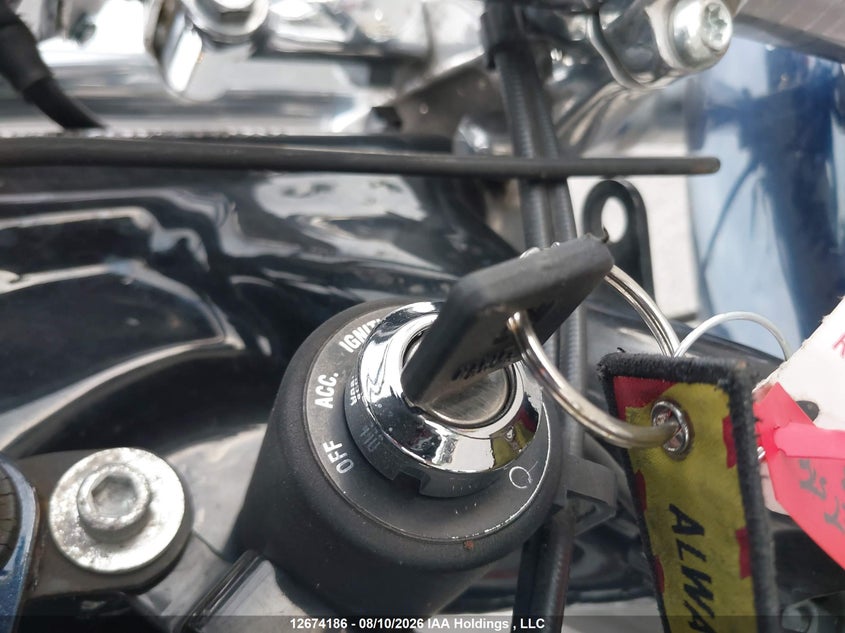 2002 HARLEY-DAVIDSON XL883 C - zdjęcie 11