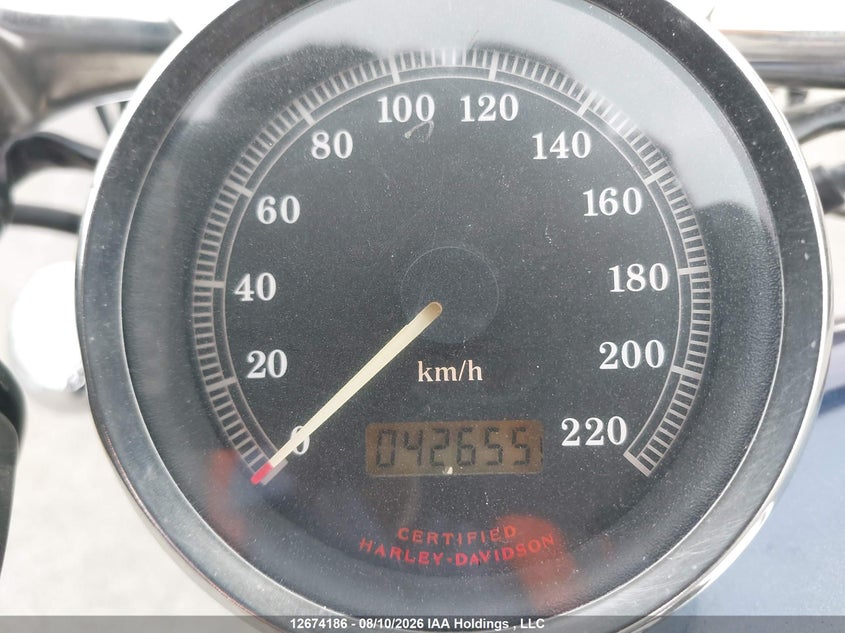 2002 HARLEY-DAVIDSON XL883 C - zdjęcie 7