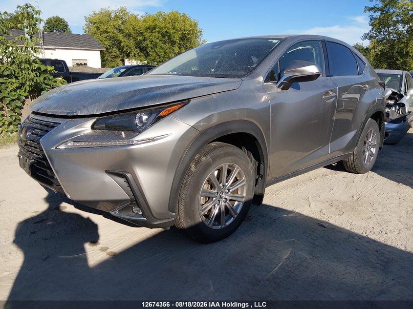 2021 Lexus NX, Front, IAAI, VIN JTJAARDZ5M2254650 — photo 2