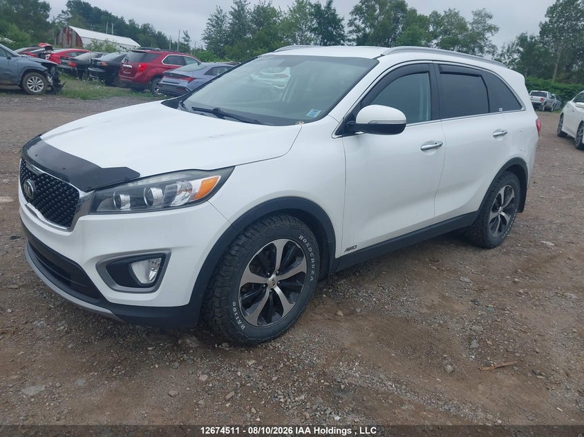 2017 Kia Sorento, Rear, IAAI, VIN 5XYPHDA13HG194924 — photo 2