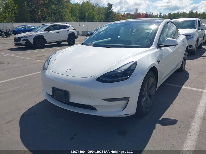 Vin: 5yj3e1eb7mf063456, lot: 3078130, tesla model 3 20212