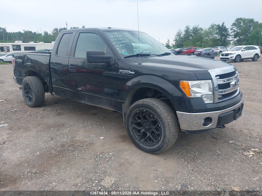2014 Ford F-150 Xlt, Правий бік, IAAI, VIN 1FTFX1EF7EFB04403