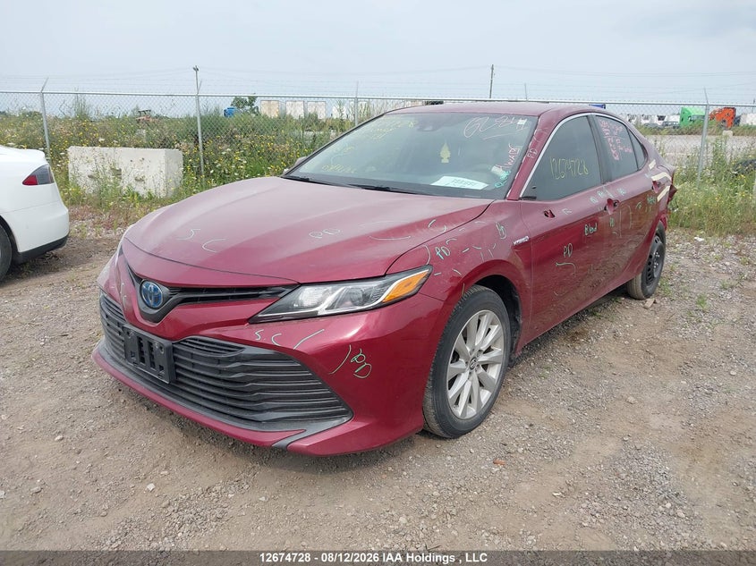 2019 Toyota Camry, Удар сзади, IAAI, VIN 4T1B31HK5KU008131 — фото 2