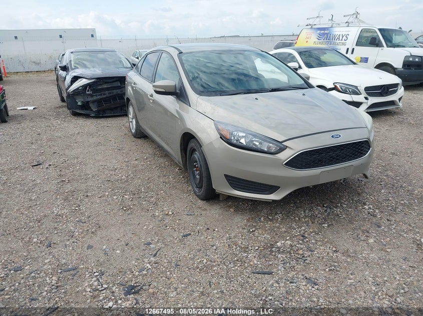 Vin: 1fadp3f29gl327440, lot: 3078676, ford focus se 2016 img_1