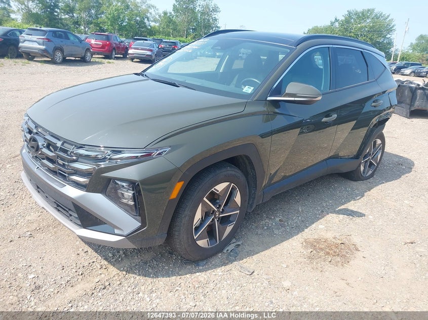2025 Hyundai Tucson N Line, Rear, IAAI, VIN 5NMJCCDE0SH559926 — photo 2