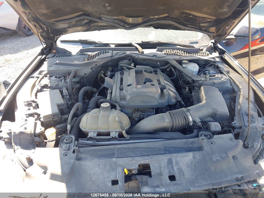 2019 FORD MUSTANG CONVERTIBLE CABRIO 2.3L I4 FI DOHC 16V NF4