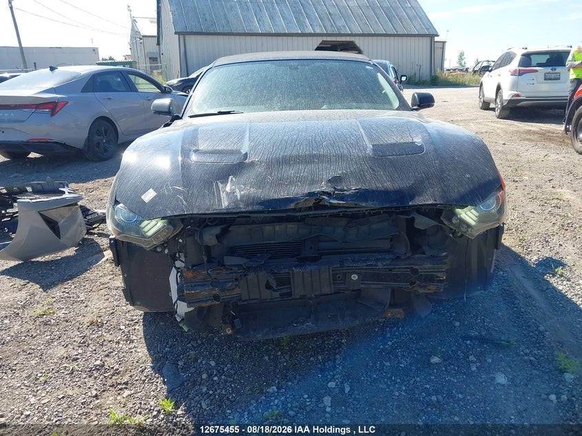 2019 FORD MUSTANG CONVERTIBLE CABRIO 2.3L I4 FI DOHC 16V NF4