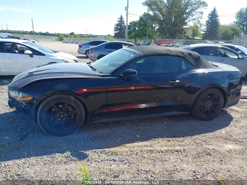 2019 FORD MUSTANG CONVERTIBLE CABRIO 2.3L I4 FI DOHC 16V NF4