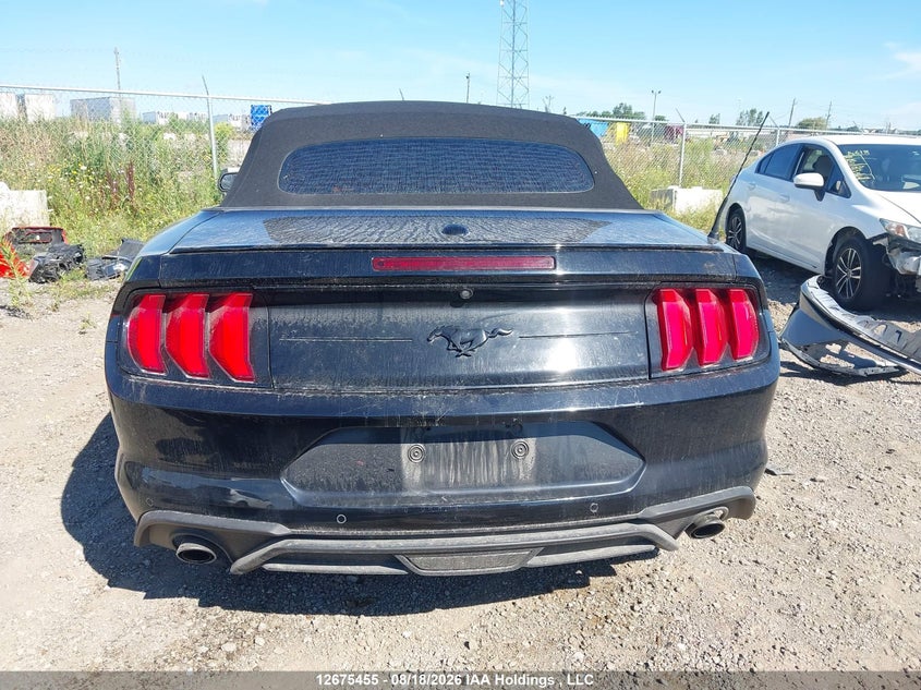 2019 FORD MUSTANG CONVERTIBLE CABRIO 2.3L I4 FI DOHC 16V NF4