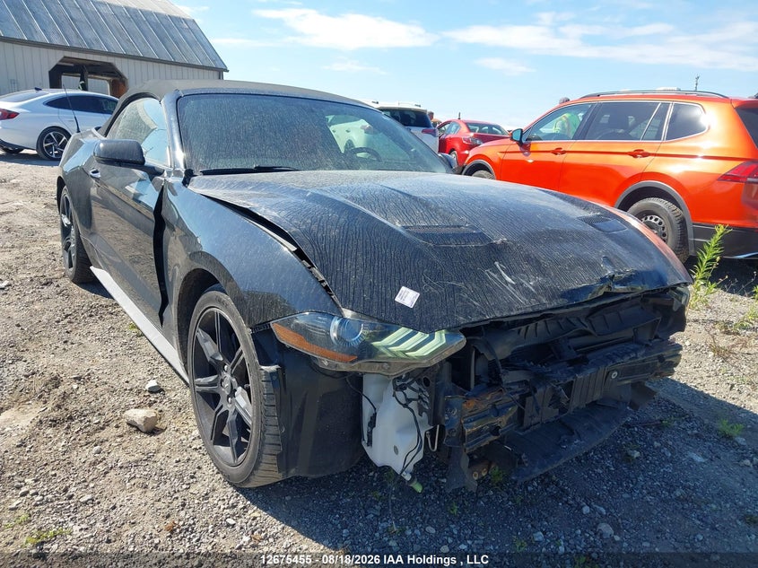 2019 FORD MUSTANG CONVERTIBLE CABRIO 2.3L I4 FI DOHC 16V NF4