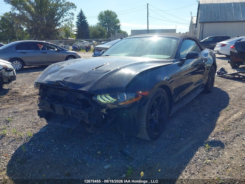 2019 FORD MUSTANG CONVERTIBLE CABRIO 2.3L I4 FI DOHC 16V NF4