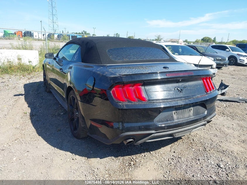 2019 FORD MUSTANG CONVERTIBLE CABRIO 2.3L I4 FI DOHC 16V NF4