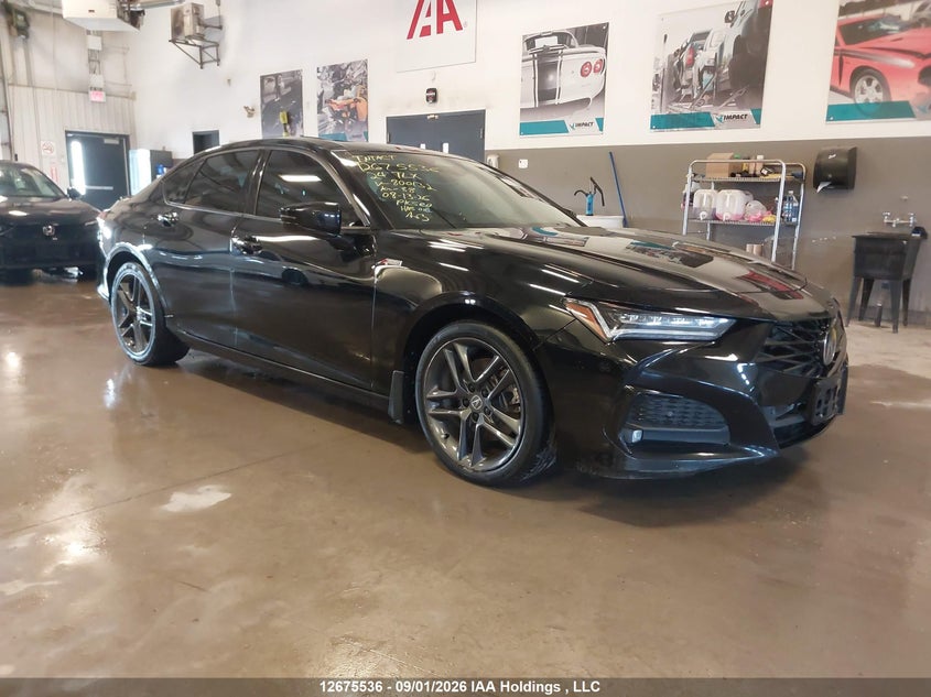 Vin: 19uub6f52ra800132, lot: 3079187, acura tlx 2024 img_1