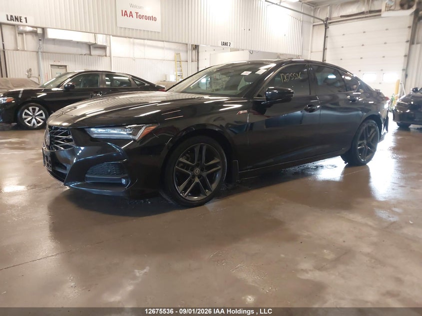 Vin: 19uub6f52ra800132, lot: 3079187, acura tlx 20242