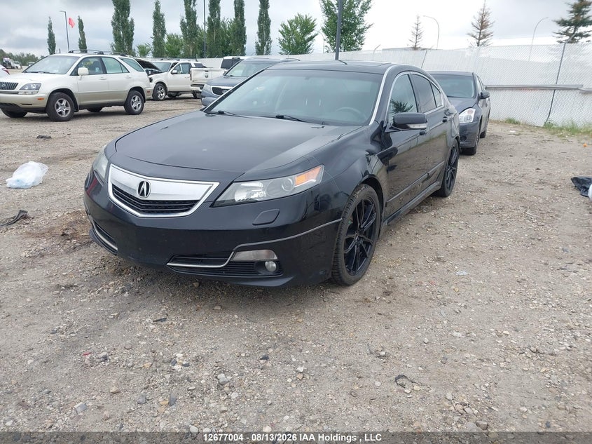 2012 Acura TL, Благотворительность, IAAI, VIN 19UUA9F74CA803465 — фото 2