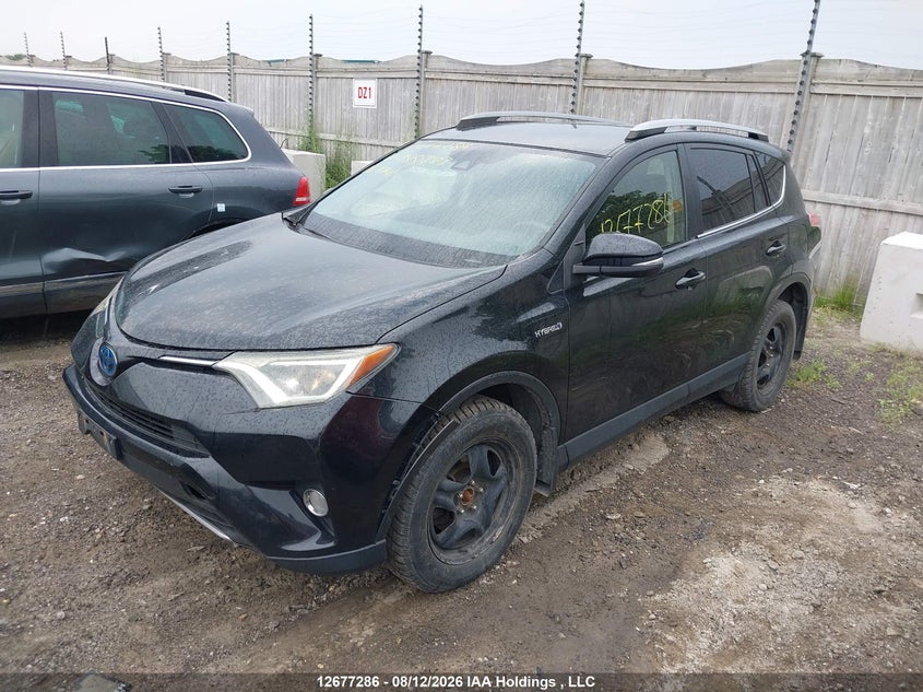 2018 Toyota RAV 4, Правый бок, IAAI, VIN JTMRJREV6JD188787 — фото 2