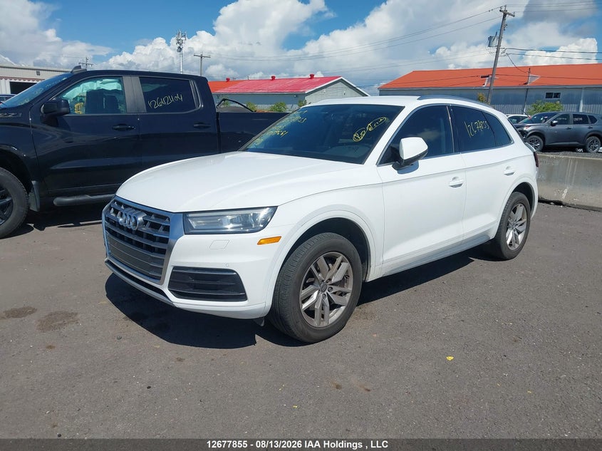 2019 Audi Q5, Удар ззаду, IAAI, VIN WA1ANAFY4K2059661 — фото 2