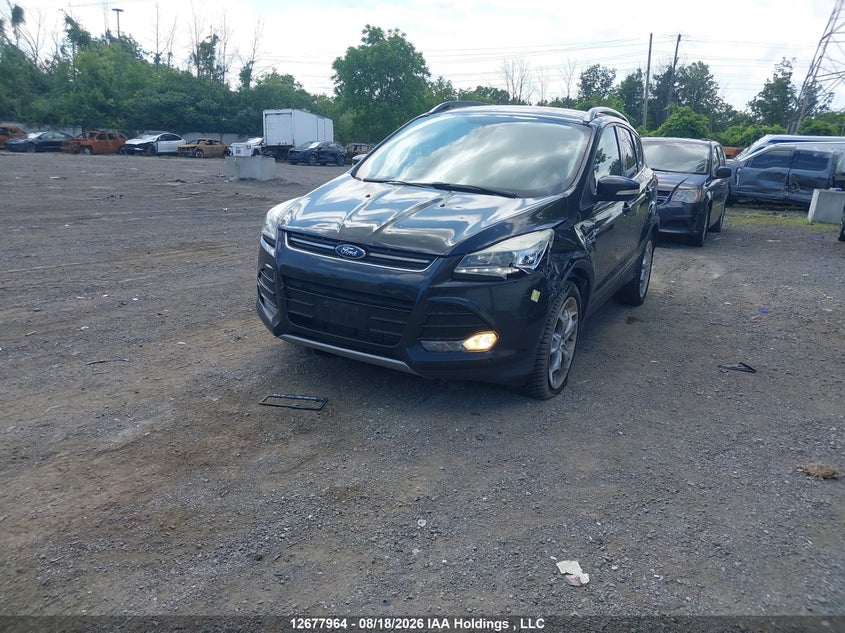 2015 Ford Escape, Левый бок, IAAI, VIN 1FMCU9J92FUA33386 — фото 2