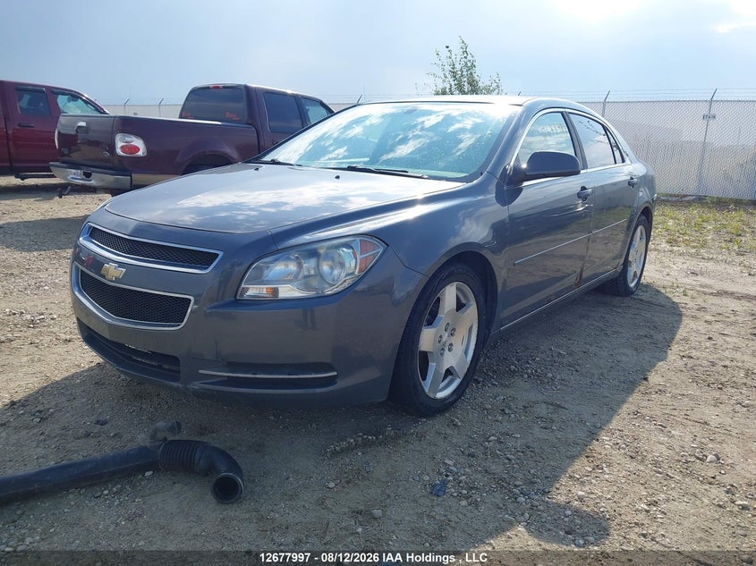2009 Chevrolet Malibu, Затоплення, IAAI, VIN 1G1ZJ57799F183678 — фото 2