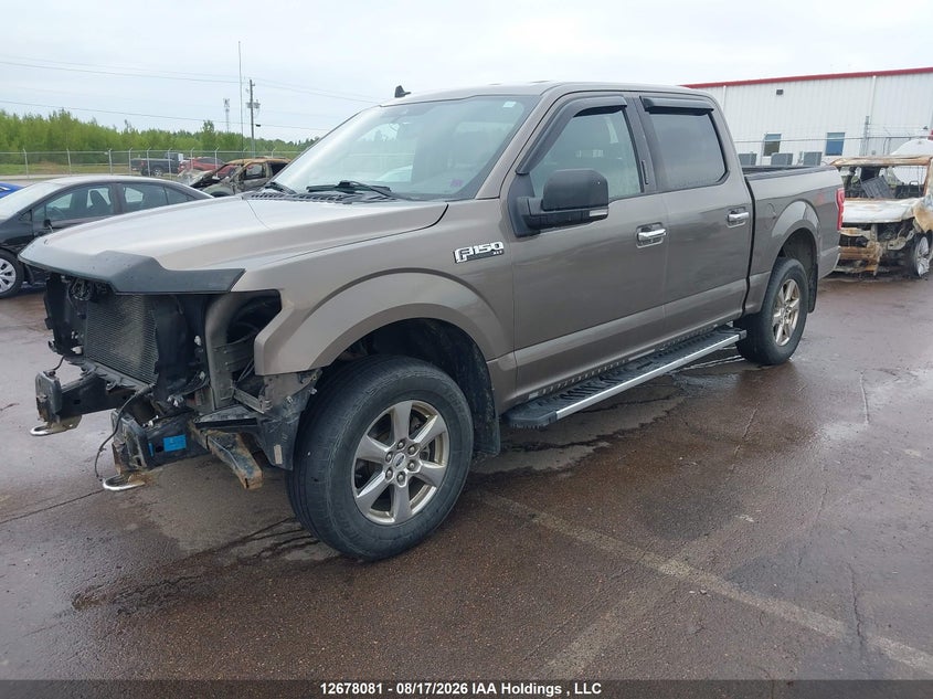 2019 FORD F-150 PICKUP 5.0L V8 FI DOHC 32V NF4
