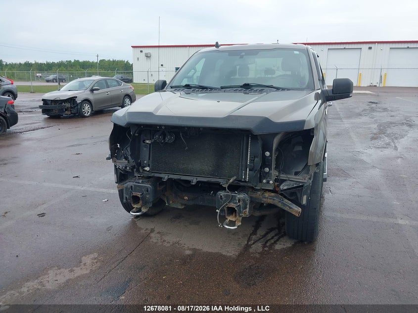2019 FORD F-150 PICKUP 5.0L V8 FI DOHC 32V NF4