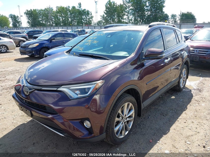 2016 Toyota RAV 4, Правый бок, IAAI, VIN 2T3DFREV1GW496781 — фото 2