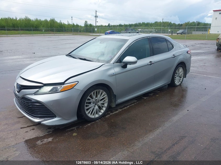2018 Toyota Camry Hybrid/Le/Xle/Se, Rear, IAAI, VIN 4T1B21HK3JU500318 — photo 2