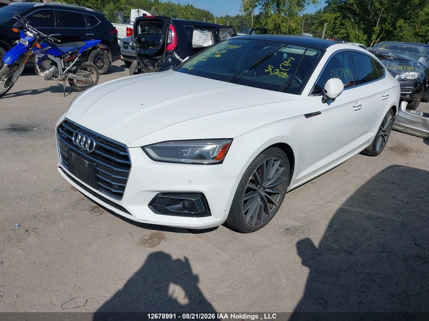 2019 Audi A5, Rear, IAAI, VIN WAUCNCF54KA006929 — photo 2