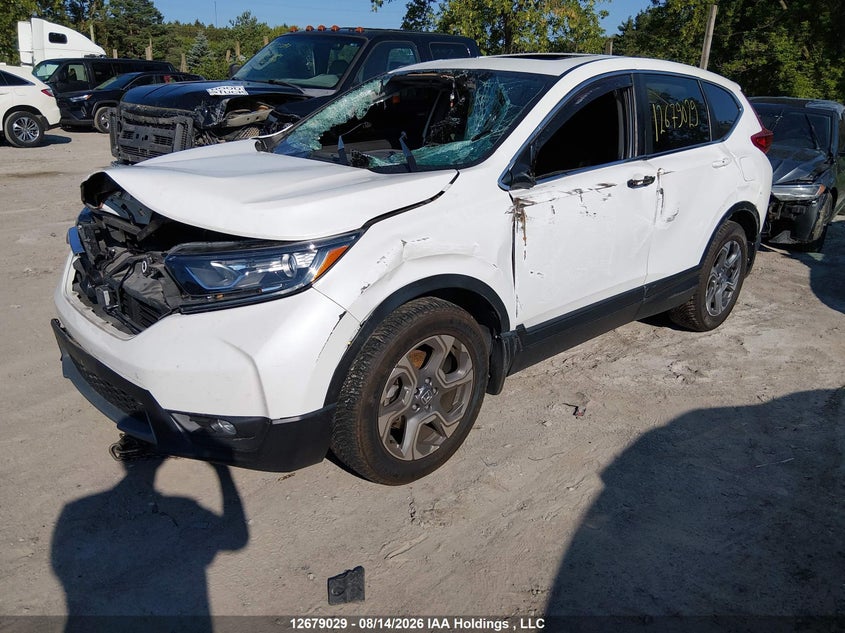 2019 Honda CR-V, Удар спереду, IAAI, VIN 2HKRW2H86KH128759 — фото 2