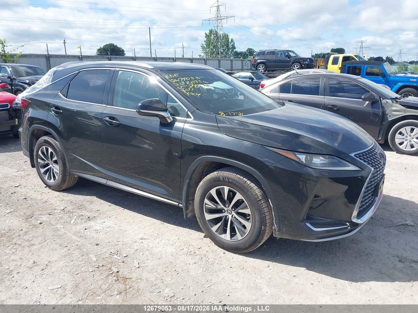 2020 Lexus Rx 350, Rear, IAAI, VIN 2T2HZMDA3LC242712
