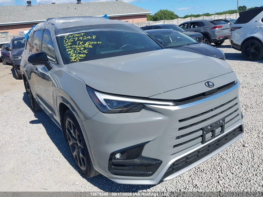 2024 Lexus Tx 500H, Крыша, IAAI, VIN 5TDABAB6XRS000085
