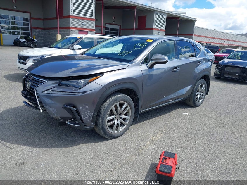 2021 Lexus NX, Front, IAAI, VIN JTJAARDZ4M2245762 — photo 2