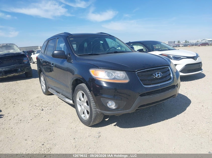 2010 Hyundai Santa Fe Se, Rear, IAAI, VIN 5NMSHDAG4AH403534