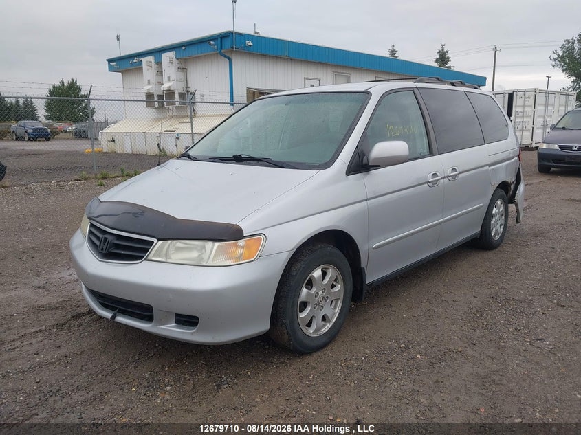 2003 Honda Odyssey, Удар сзади, IAAI, VIN 2HKRL18623H004281 — фото 2