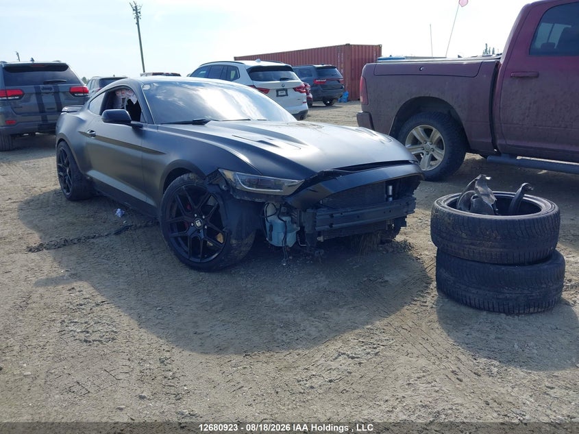 Vin: 1fa6p8cf9g5297096, lot: 3084968, ford mustang gt 2016 img_1
