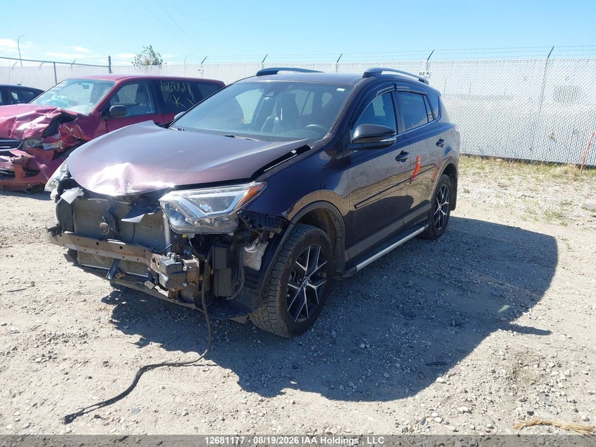 2017 Toyota RAV 4, Удар спереди, IAAI, VIN 2T3JFREV0HW664981 — фото 2