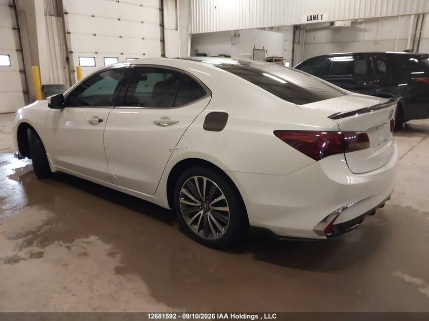 Vin: 19uub3f54la801711, lot: 3085692, acura tlx tech 20203