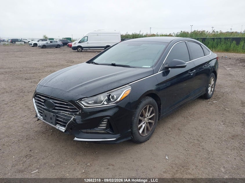 Vin: 5npe24af0kh769372, lot: 3086483, hyundai sonata essential 20192