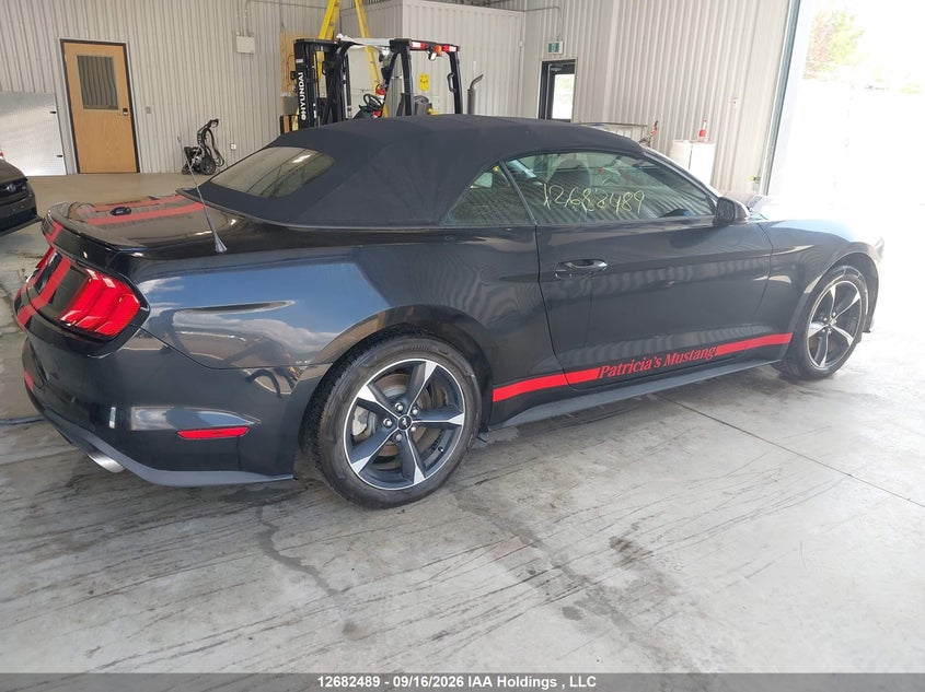 Vin: 1fatp8uh2l5156982, lot: 3086680, ford mustang 20204