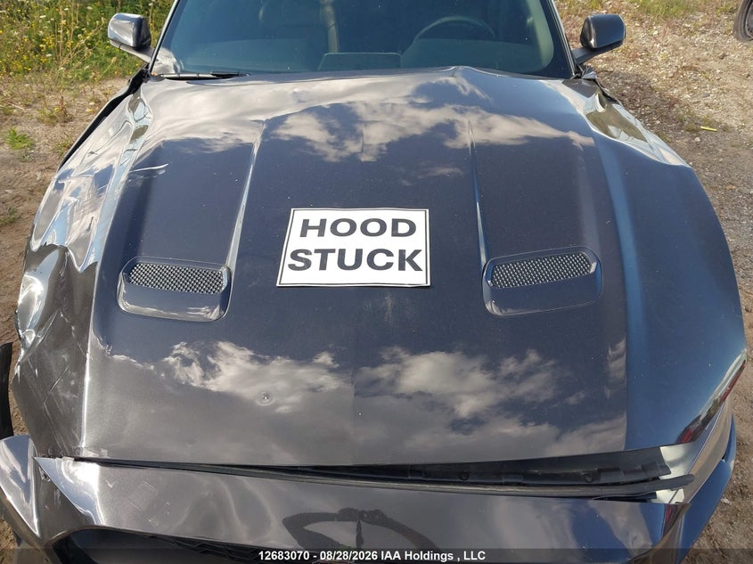 2023 FORD MUSTANG CONVERTIBLE CABRIO 2.3L I4 N