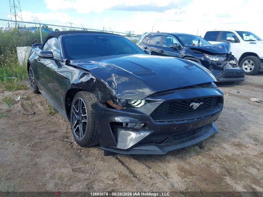 Vin: 1fatp8uh0p5108581, lot: 3087323, ford mustang convertible 2023 img_1