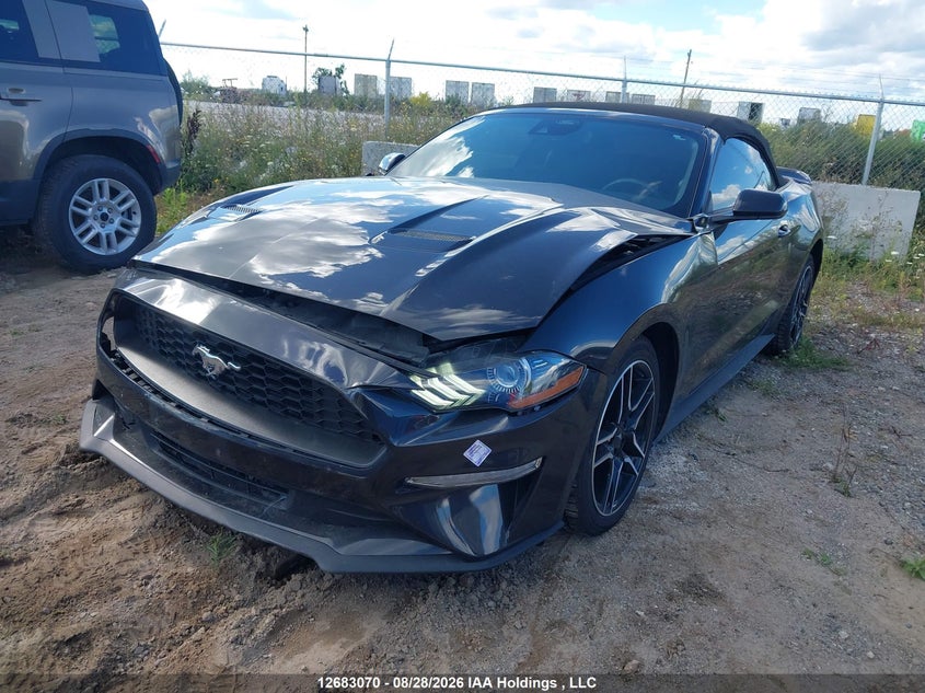 2023 FORD MUSTANG CONVERTIBLE CABRIO 2.3L I4 N