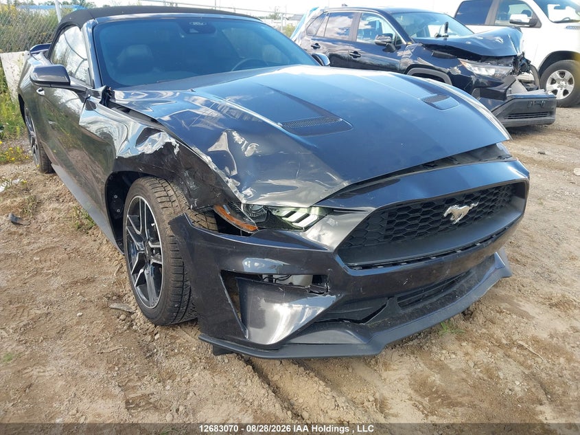 2023 FORD MUSTANG CONVERTIBLE CABRIO 2.3L I4 N
